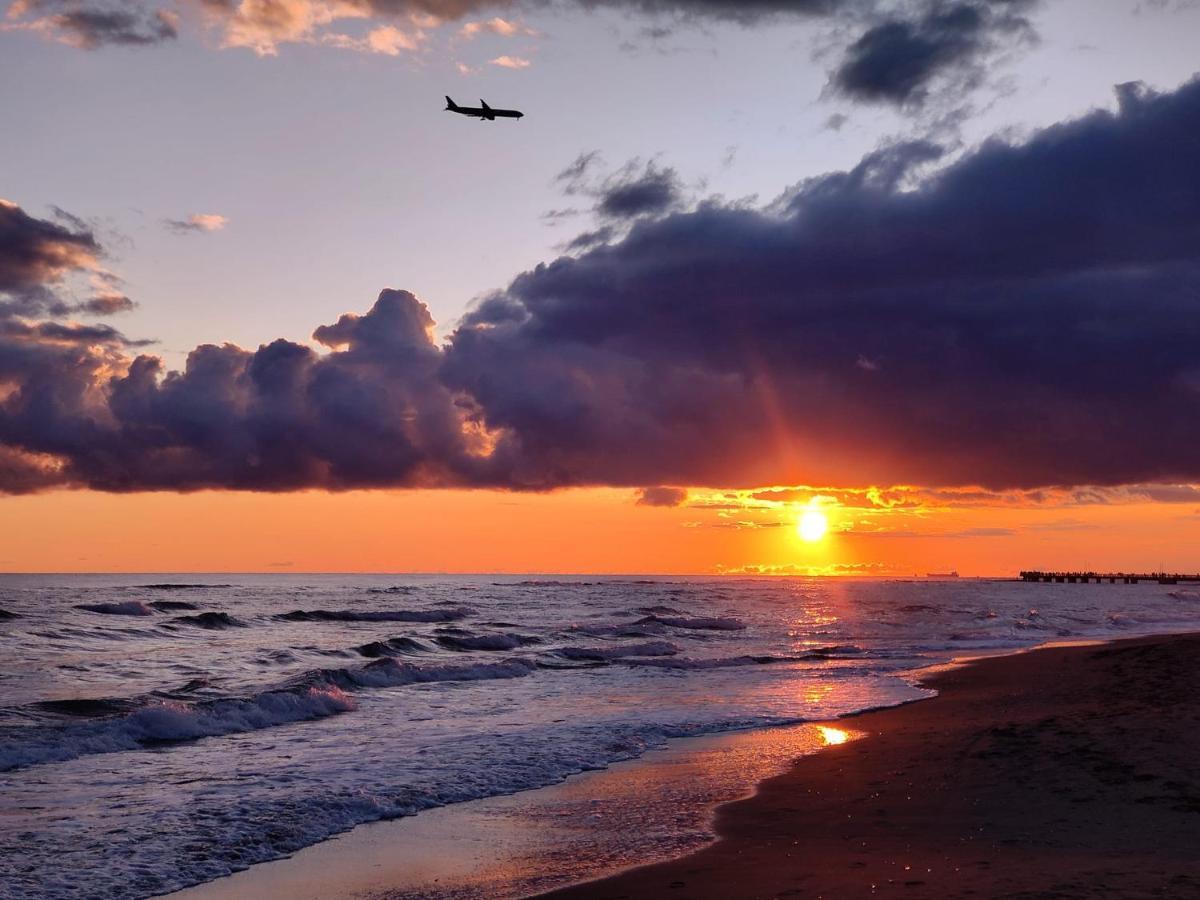Piuma Celeste A Due Passi Dal Mare E Dal Centro Storico Lido di Ostia Esterno foto