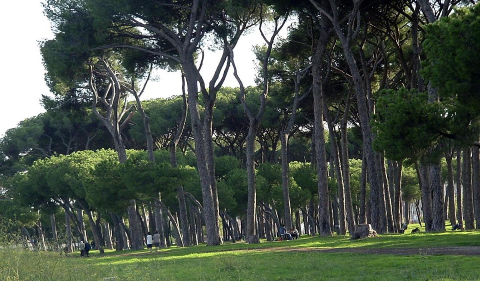 Piuma Celeste A Due Passi Dal Mare E Dal Centro Storico Lido di Ostia Esterno foto
