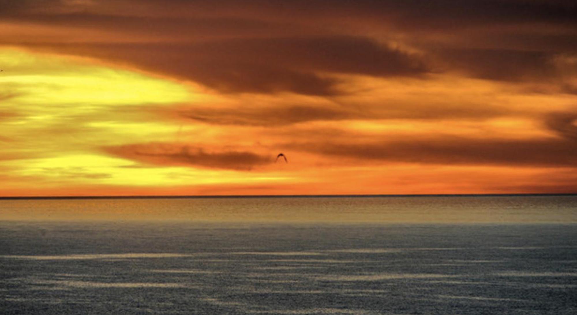 Piuma Celeste A Due Passi Dal Mare E Dal Centro Storico Lido di Ostia Esterno foto
